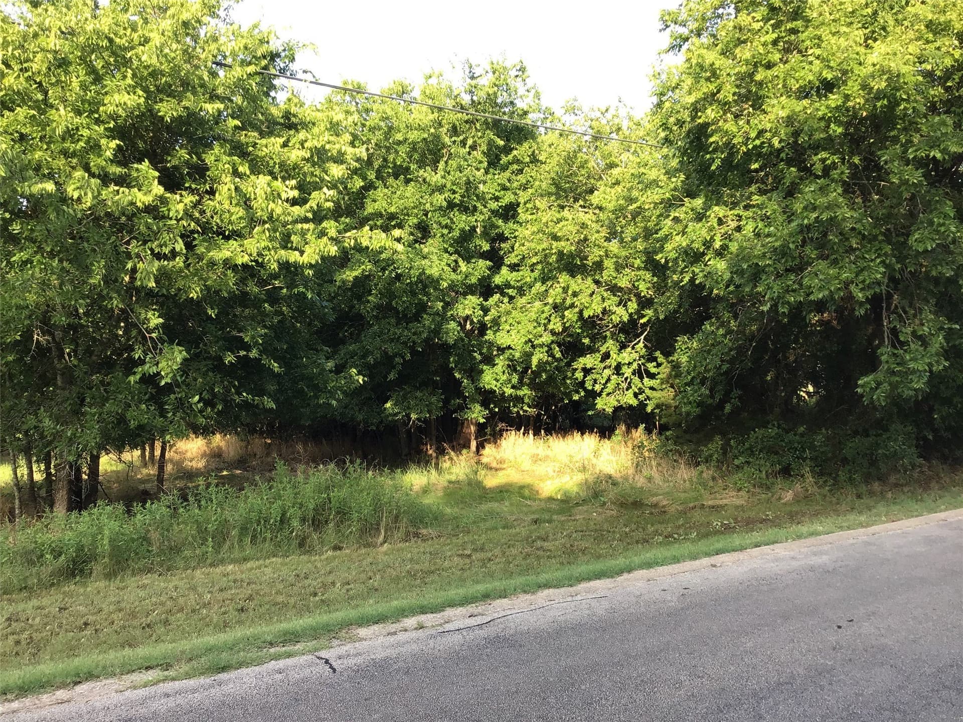 0.29 acres in Hill County - photo 7