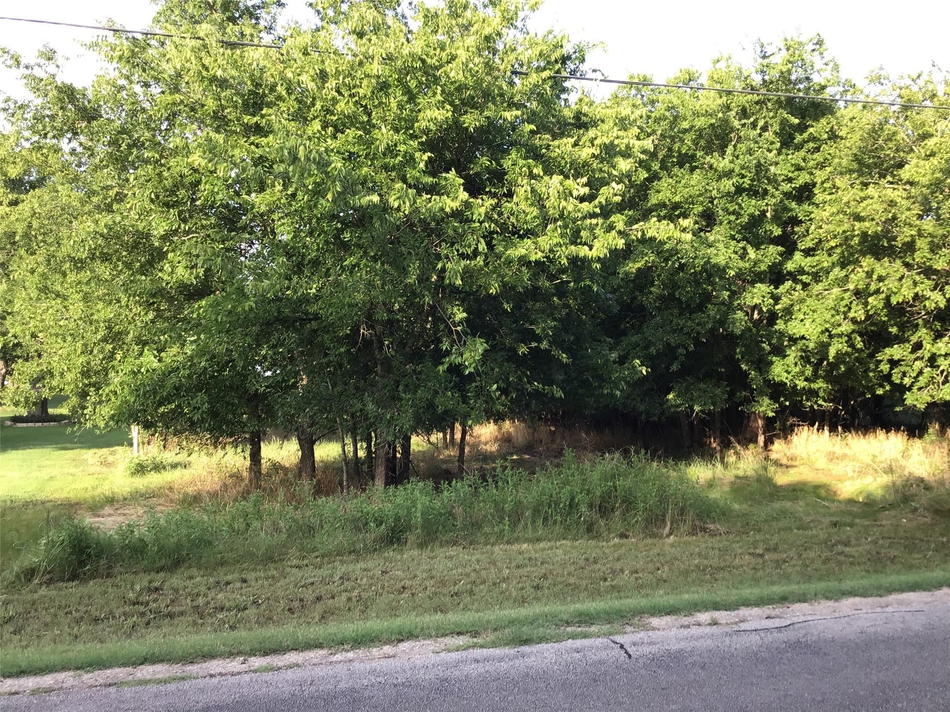 0.29 acres in Hill County - photo 6