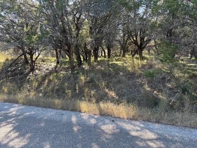 0.23 acres in Llano County gallery image 3