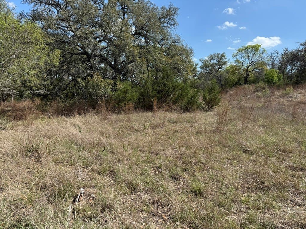 5.8 acres in Blanco County - photo 8