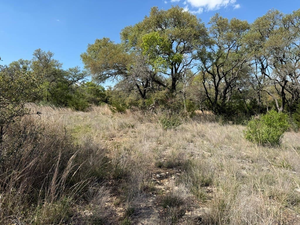5.8 acres in Blanco County - photo 14