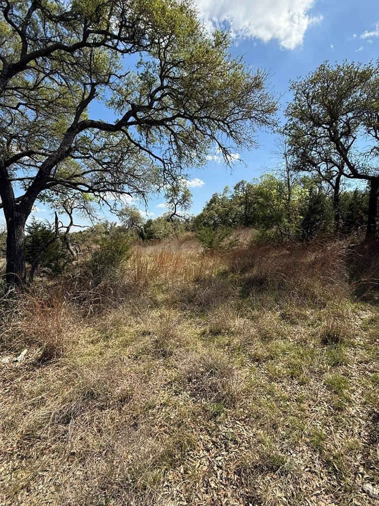 5.8 acres in Blanco County - photo 13