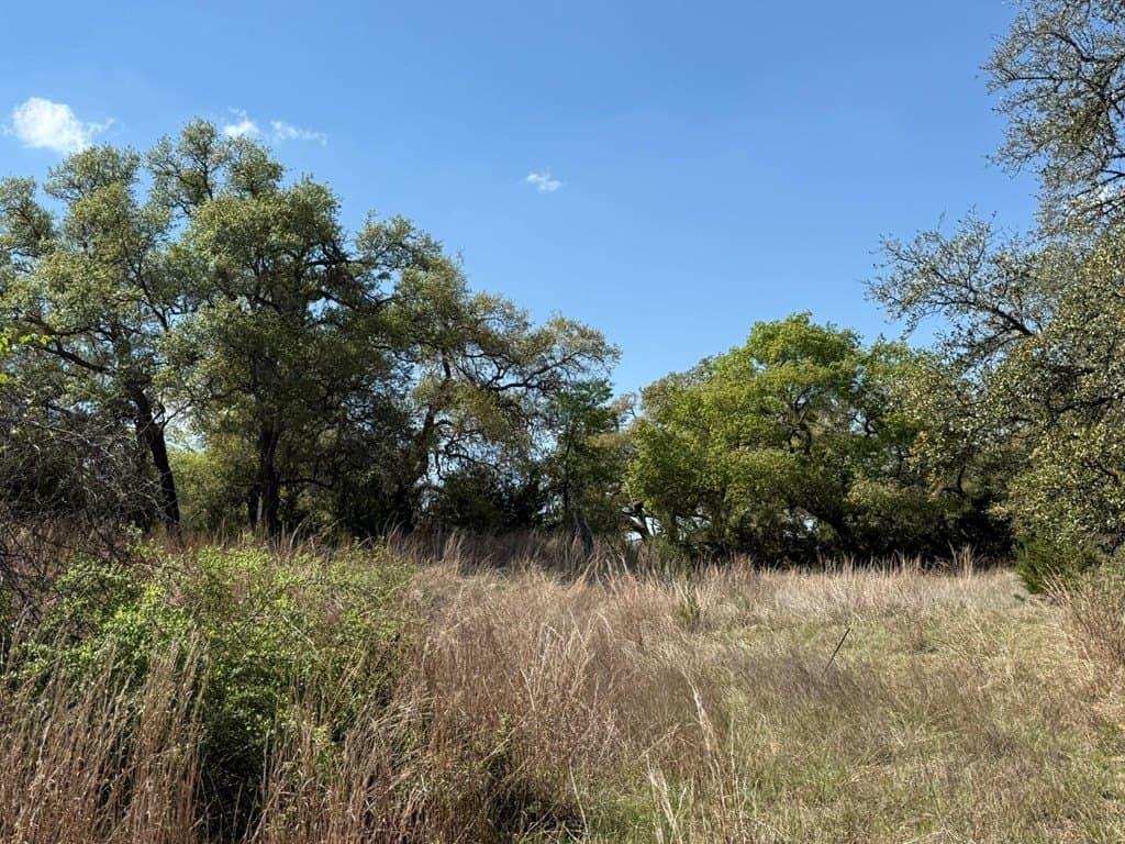 5.8 acres in Blanco County - photo 15