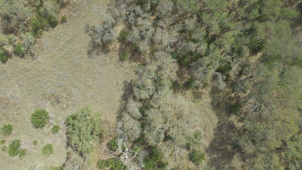 5.8 acres in Blanco County - photo 7