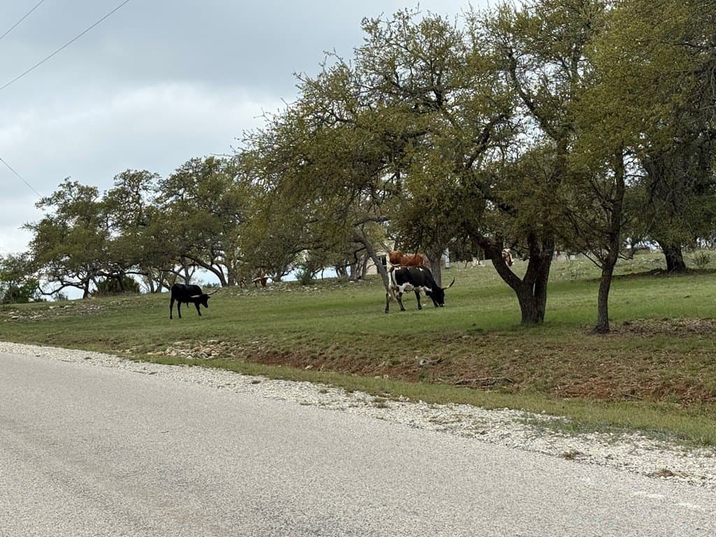 5.8 acres in Blanco County - photo 12