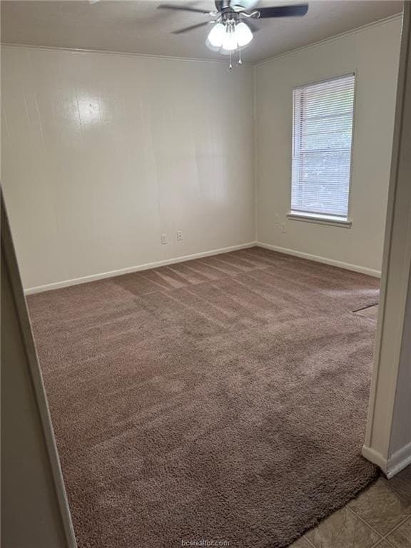 10.43 acres in Brazos County gallery image 4