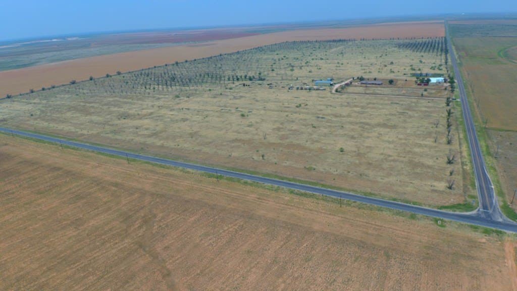 25 acres in Dawson County featured view