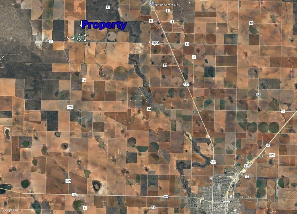 25 acres in Dawson County gallery image 2