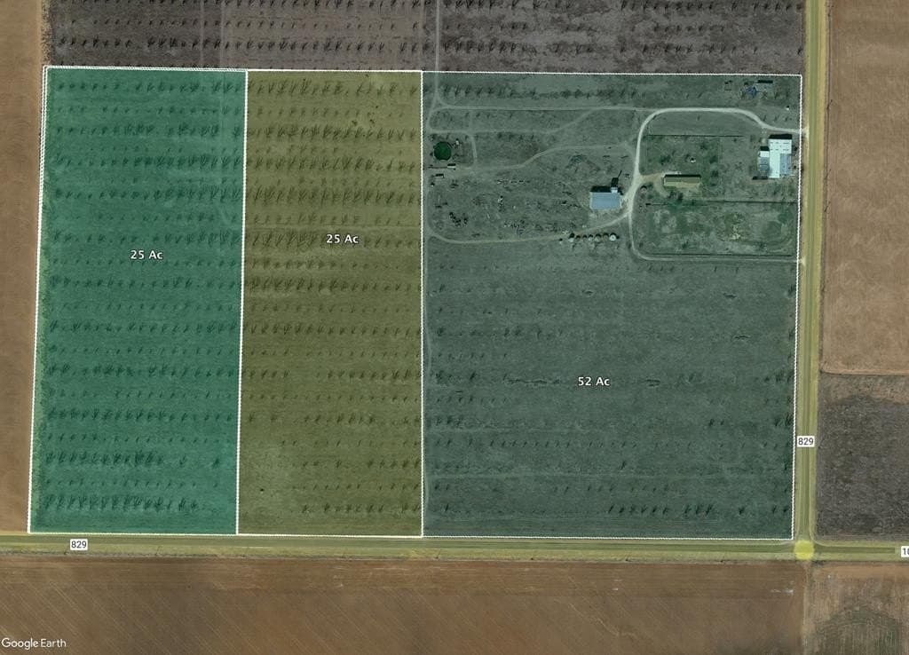 25 acres in Dawson County