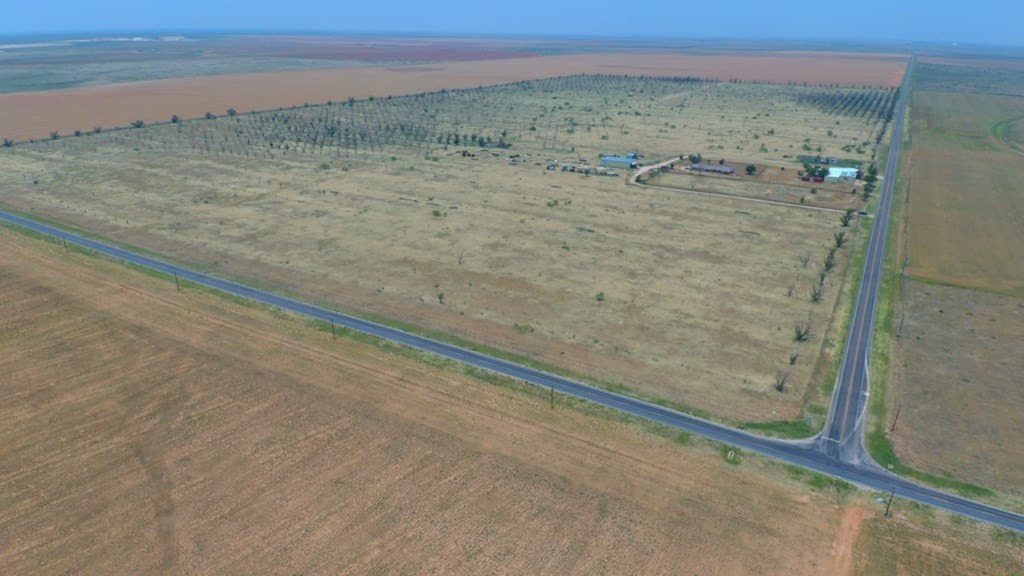 25 acres in Dawson County gallery image 3