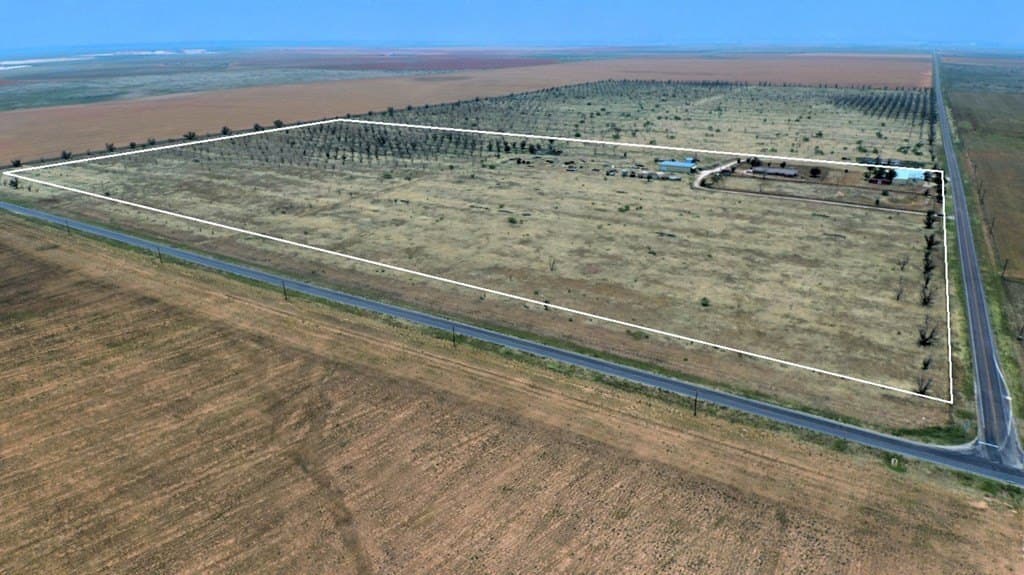 25 acres in Dawson County gallery image 4