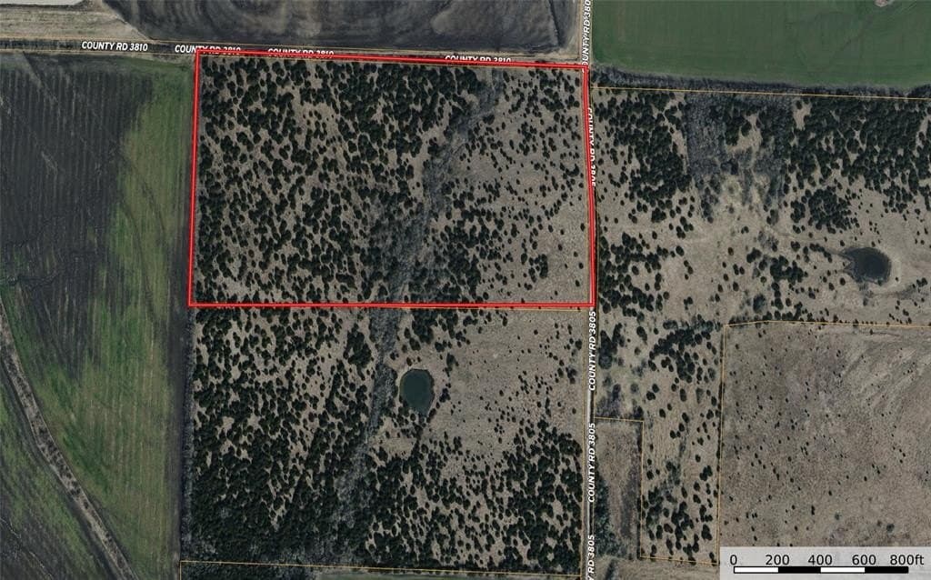 41 acres in Fannin County