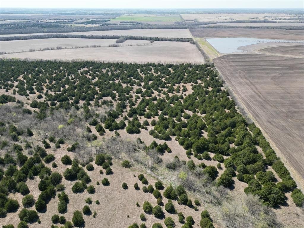 41 acres in Fannin County featured view