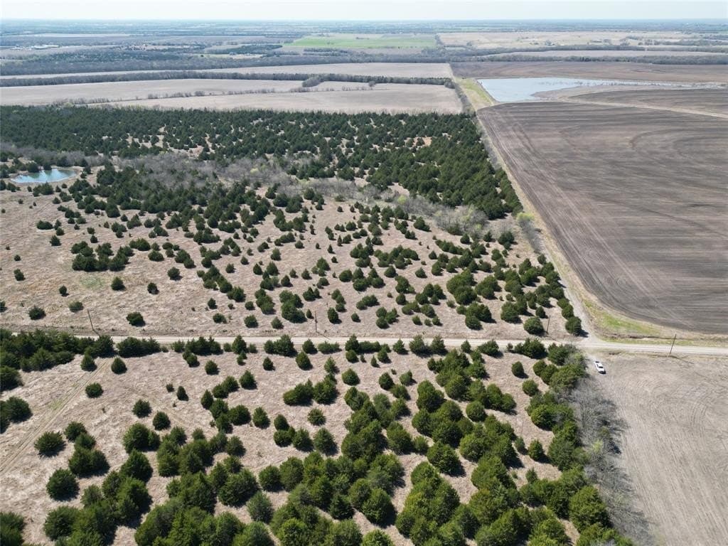 41 acres in Fannin County gallery image 4