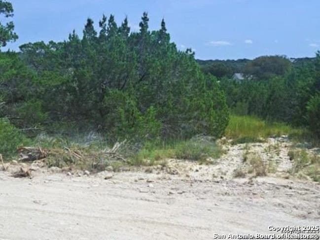 0.23 acres in Comal County gallery image 2