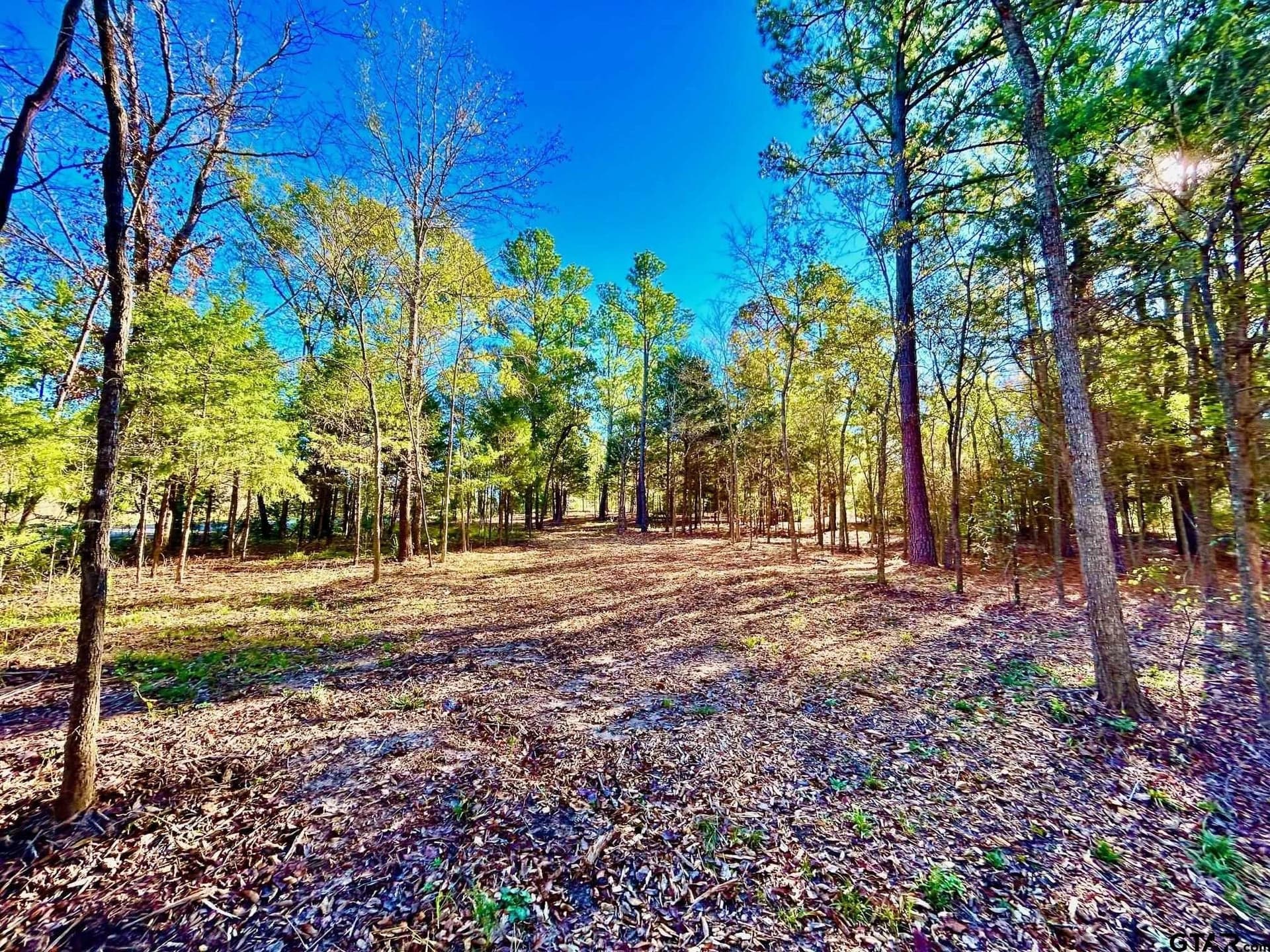 2.27 acres in Henderson County - photo 13