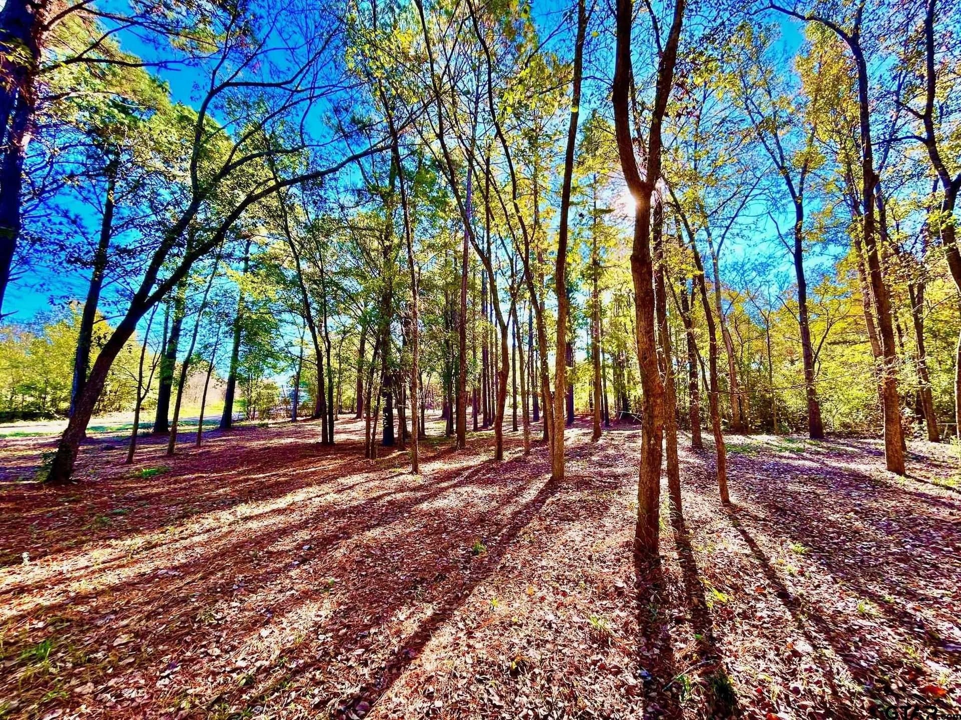 2.27 acres in Henderson County - photo 11