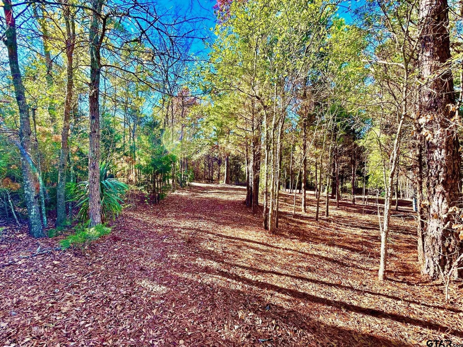 2.27 acres in Henderson County - photo 12