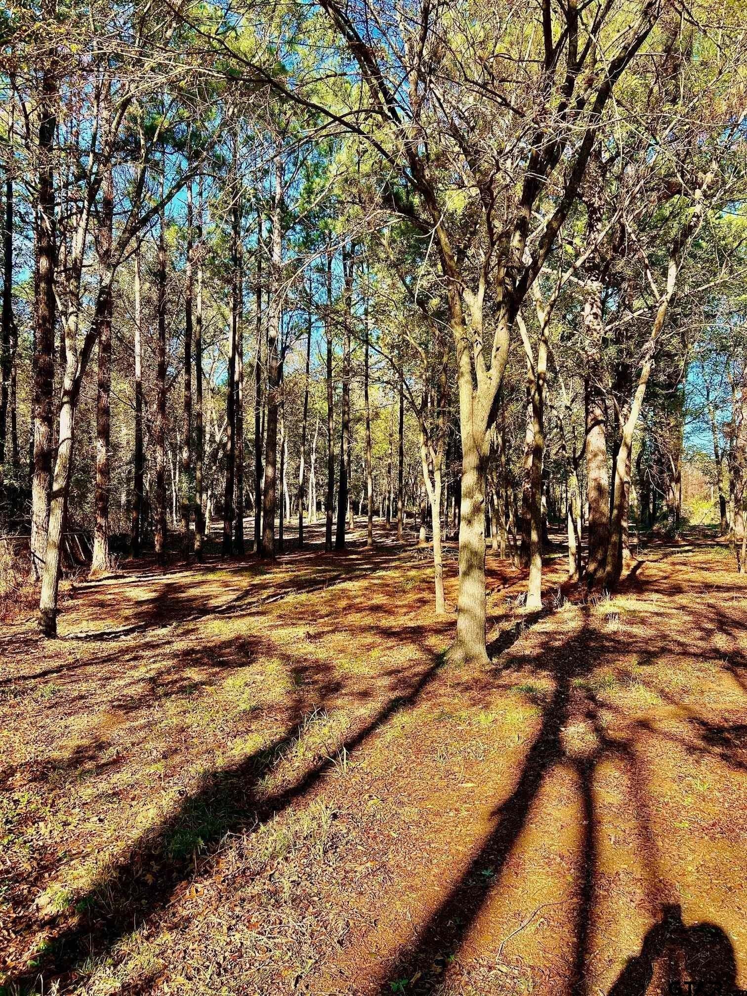 2.27 acres in Henderson County - photo 17