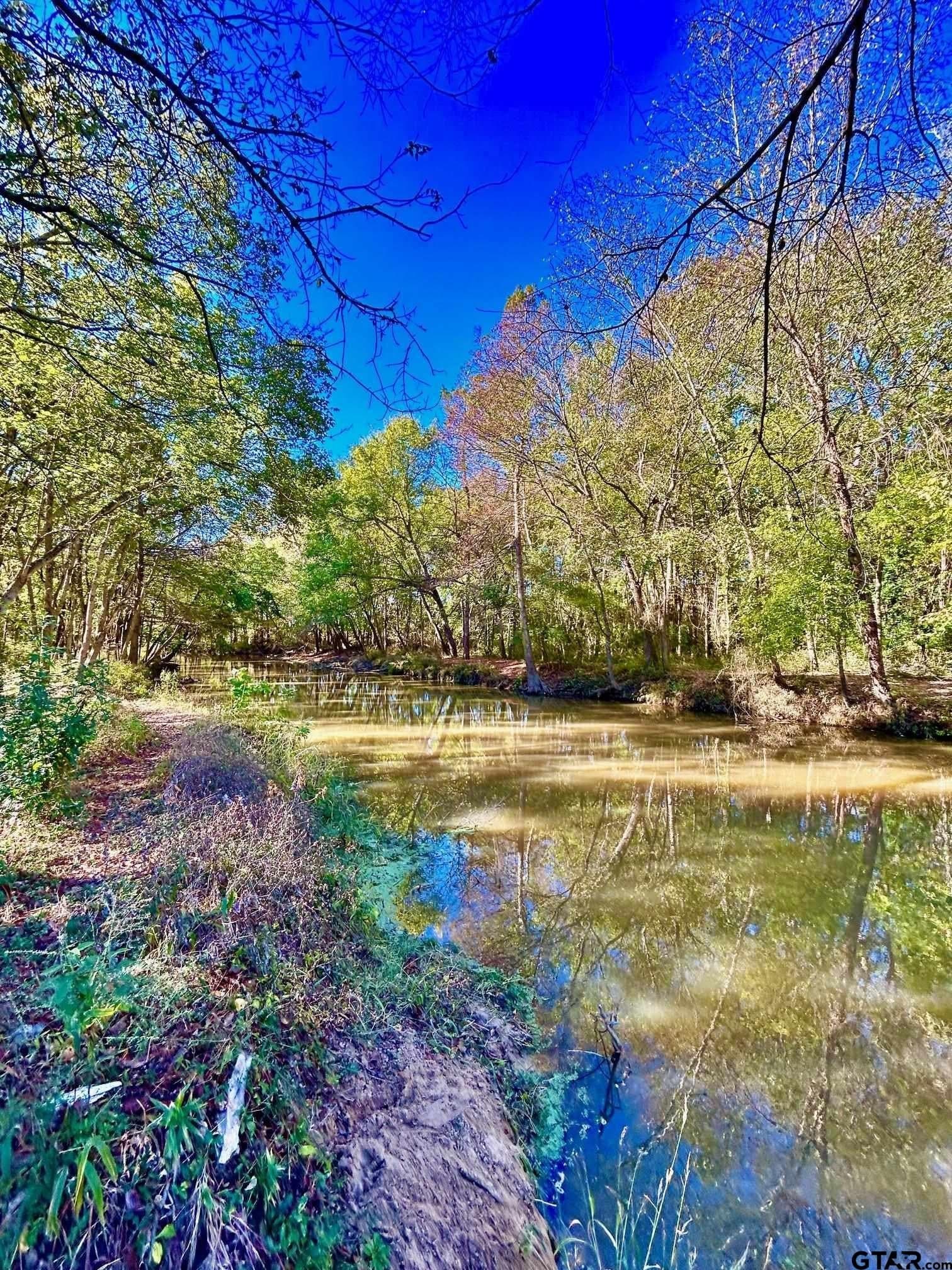 2.27 acres in Henderson County - photo 4