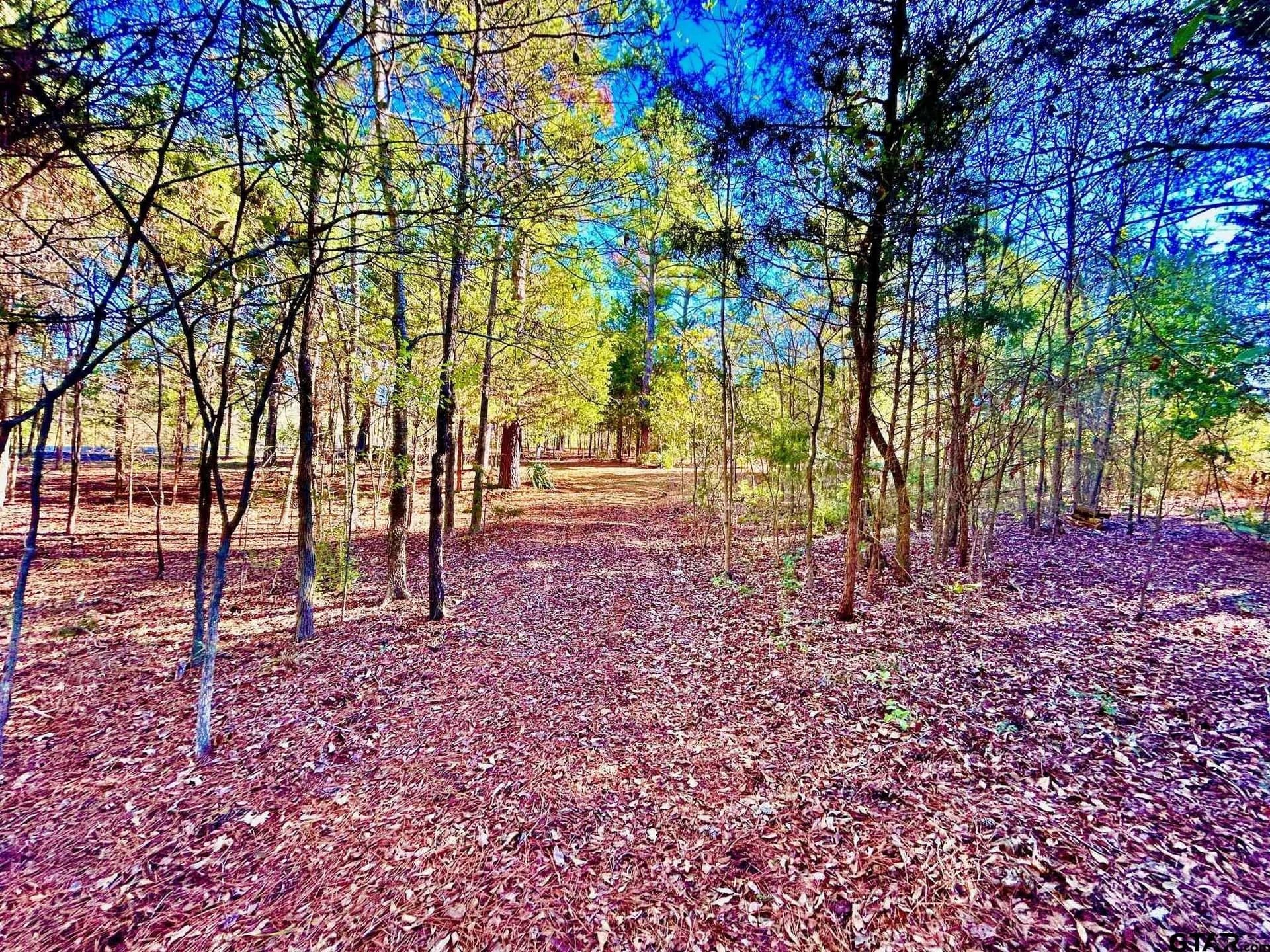 2.27 acres in Henderson County - photo 15