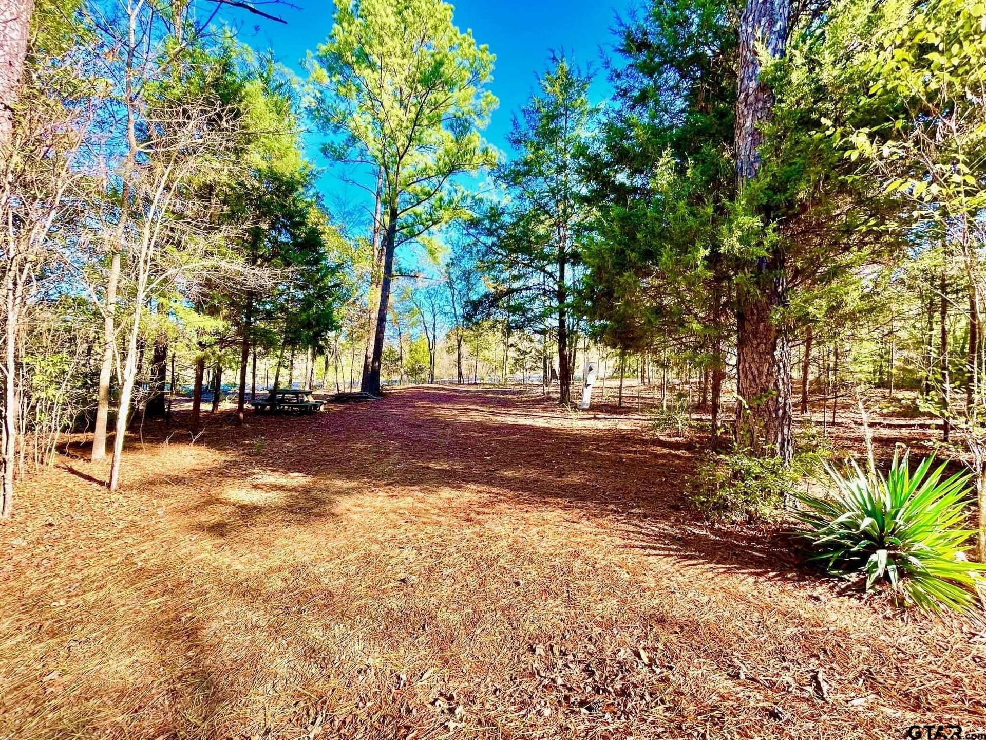 2.27 acres in Henderson County - photo 10