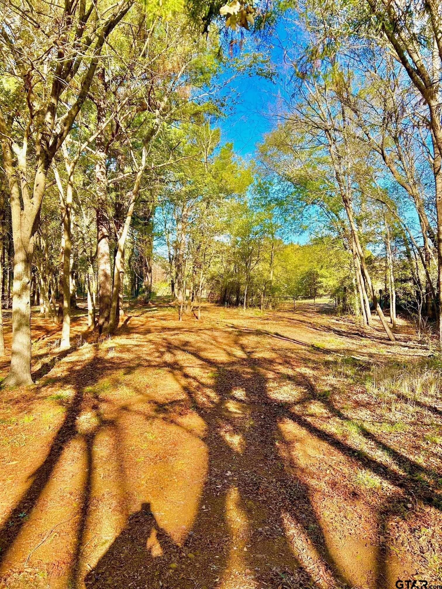 2.27 acres in Henderson County - photo 16