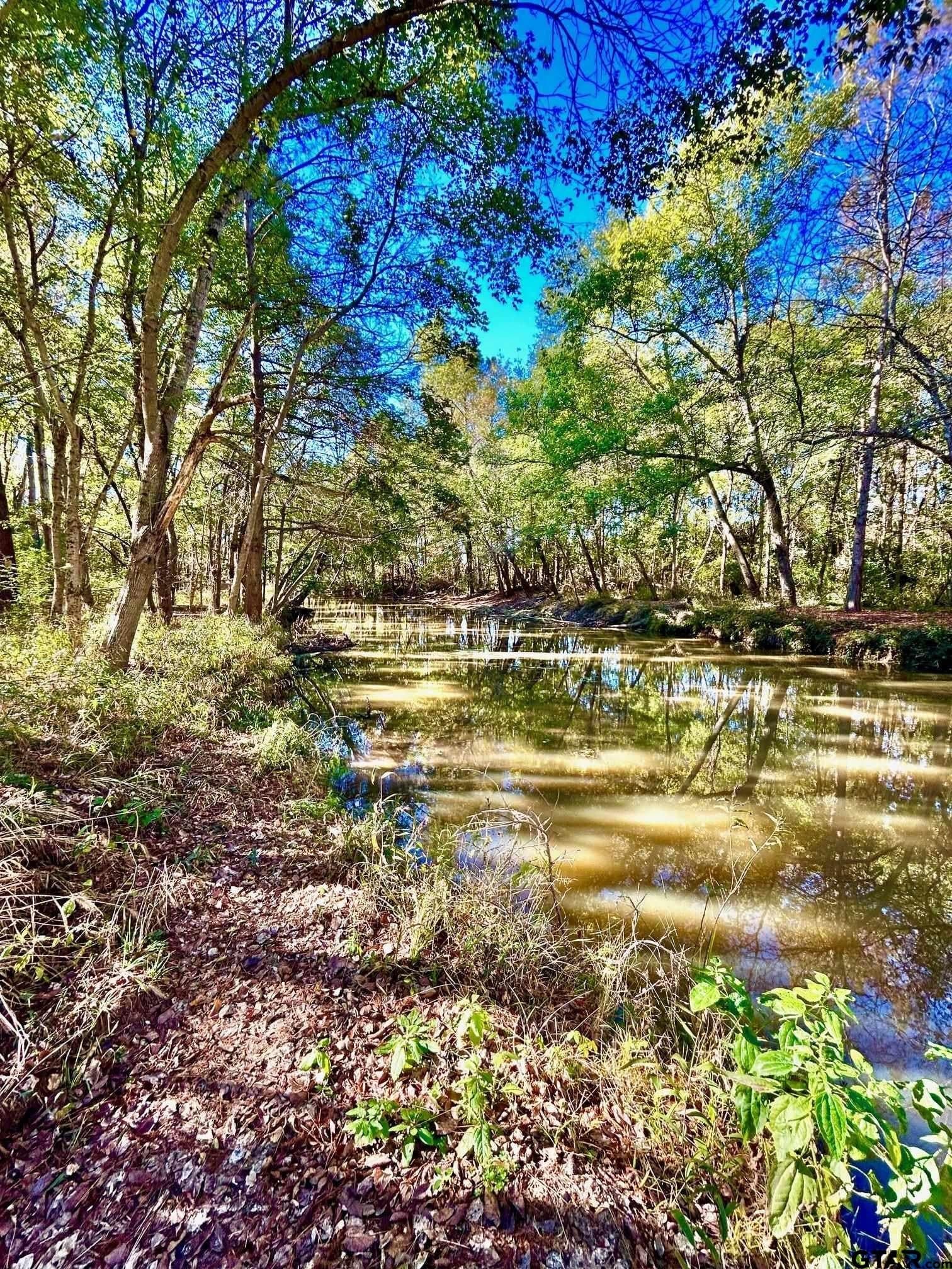 2.27 acres in Henderson County - photo 3