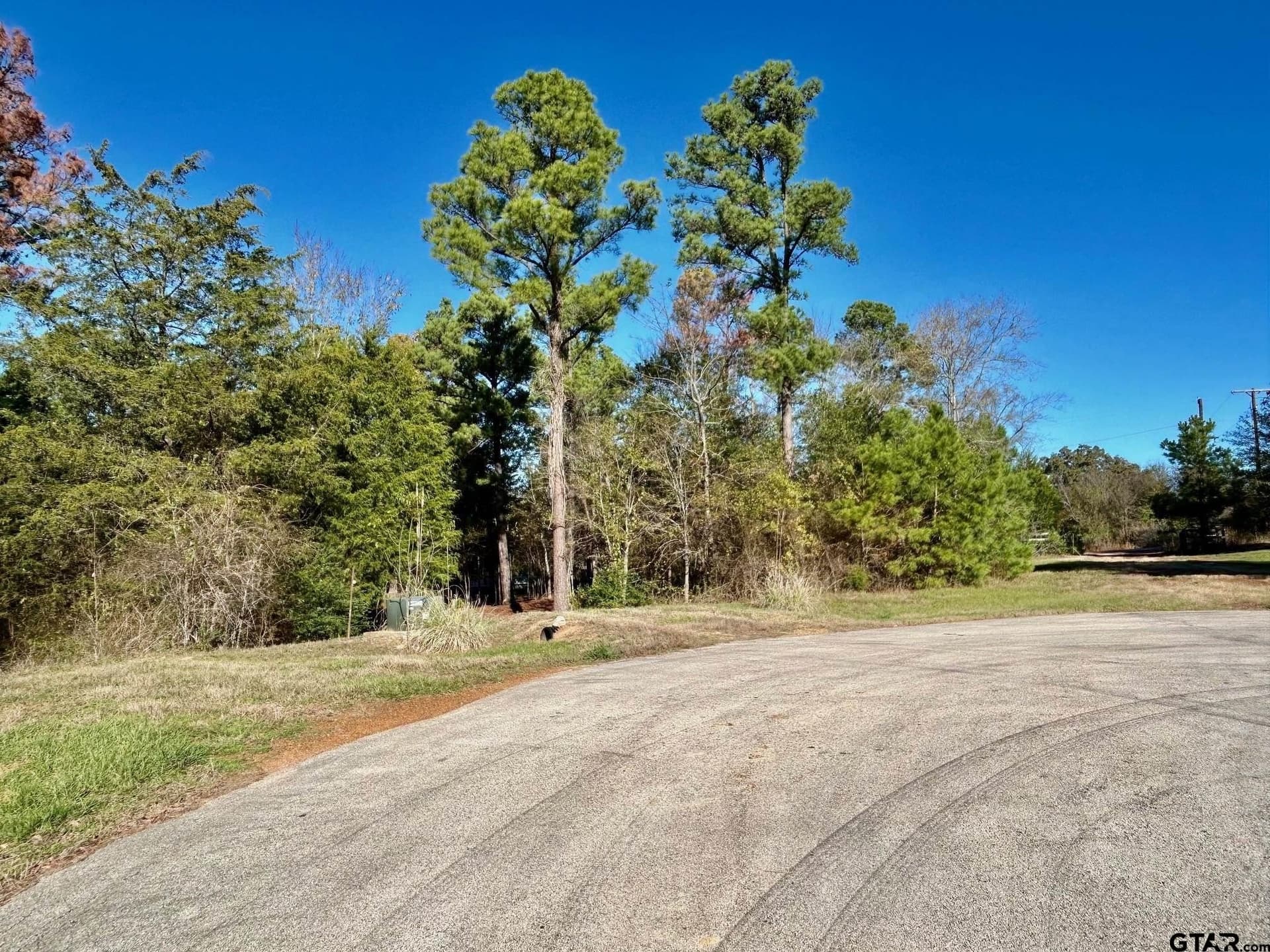 2.27 acres in Henderson County - photo 7