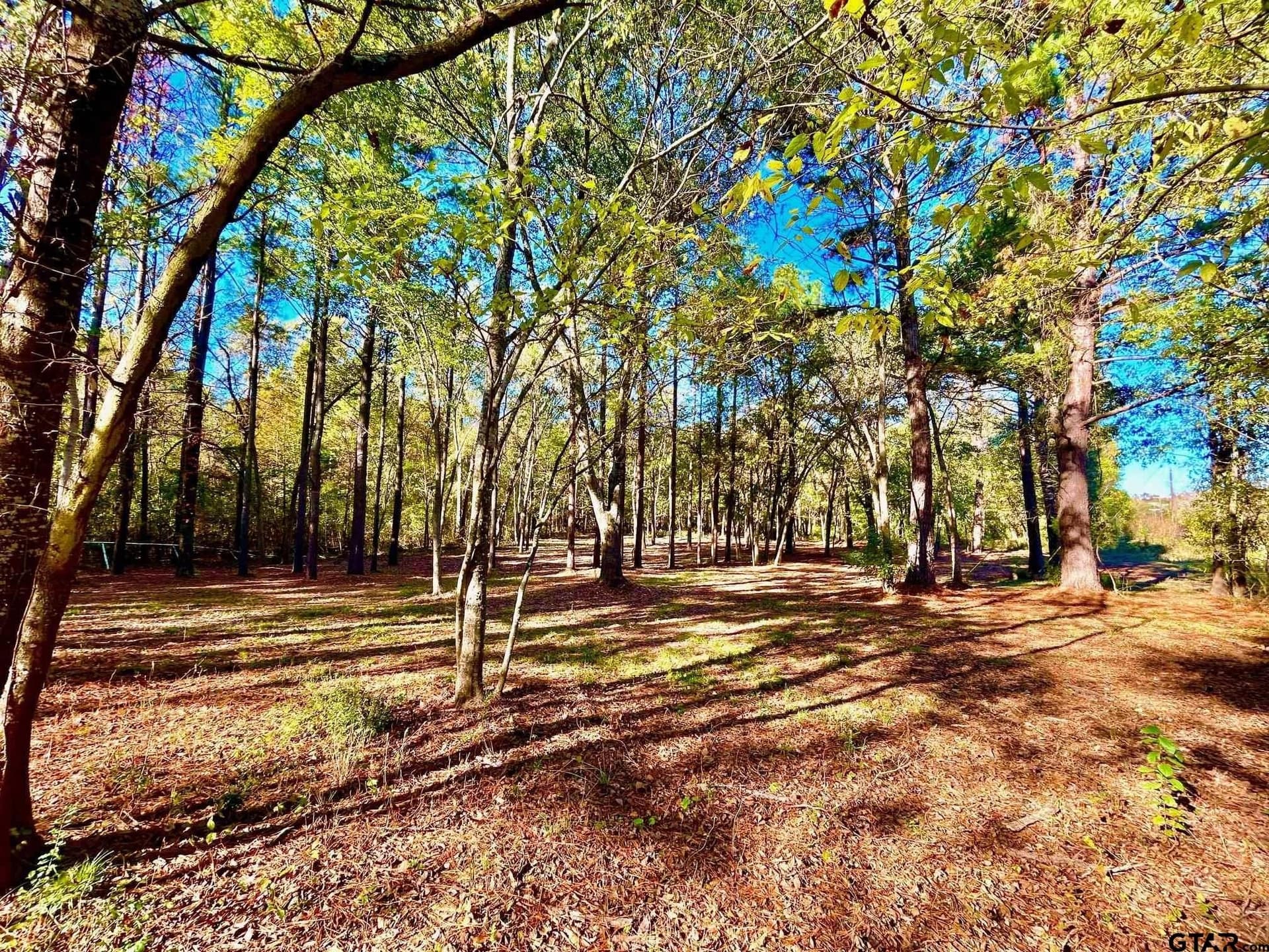2.27 acres in Henderson County - photo 14
