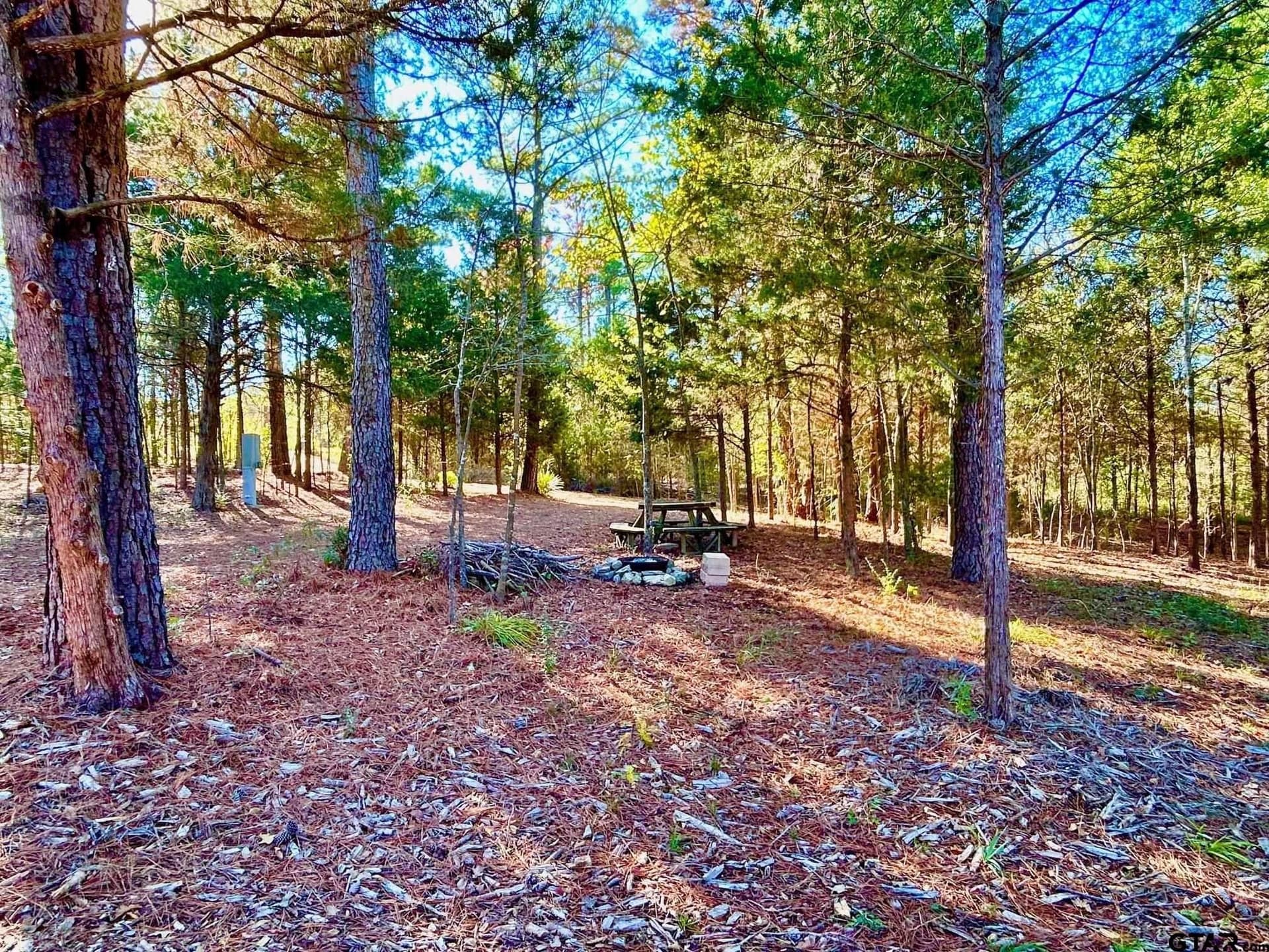 2.27 acres in Henderson County - photo 9