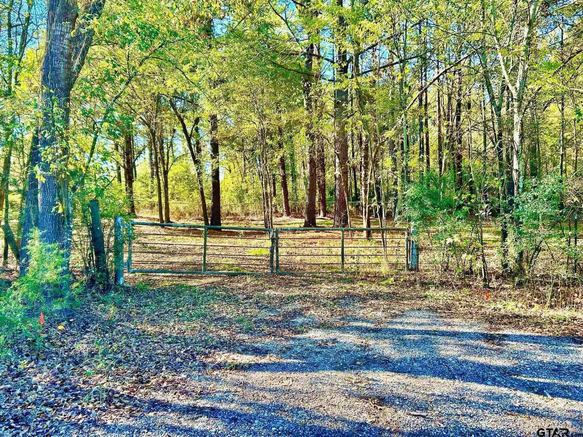 2.27 acres in Henderson County - photo 8