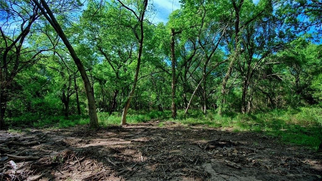 57.13 acres in Montague County gallery image 4