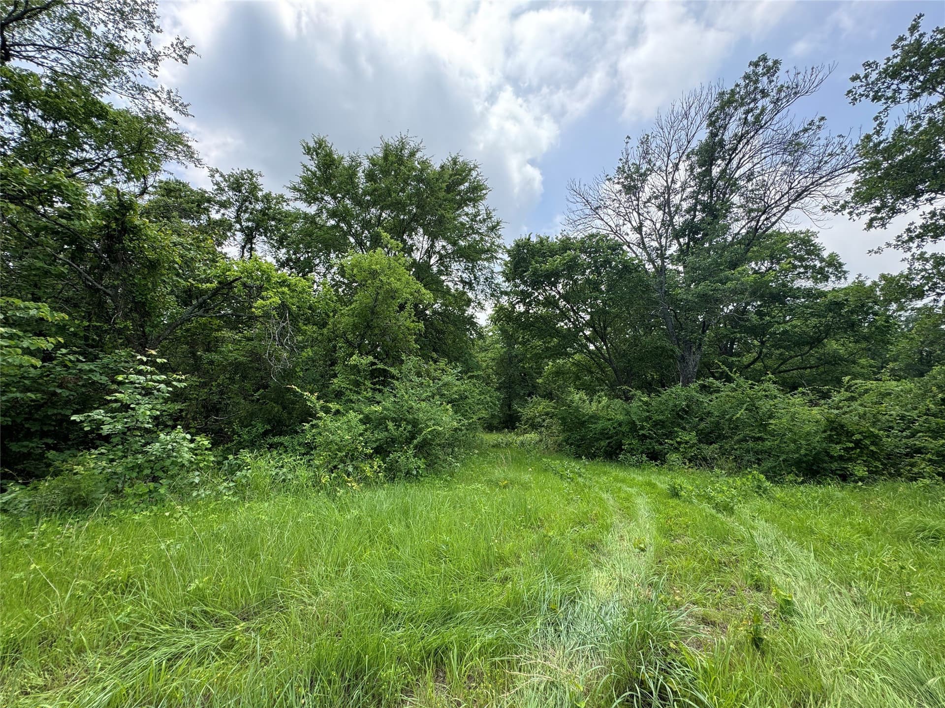 4.99 acres in Cooke County gallery image 4