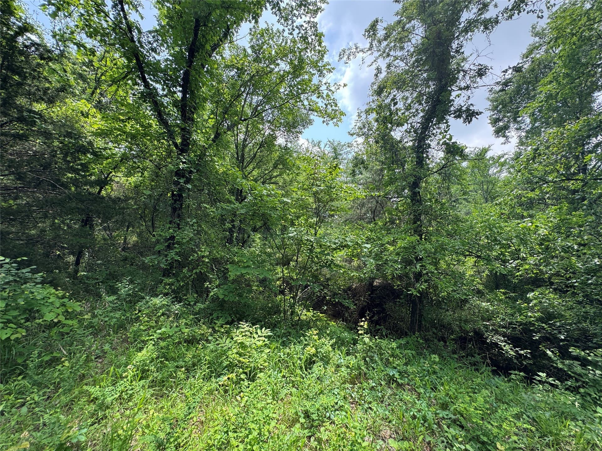 4.99 acres in Cooke County - photo 6