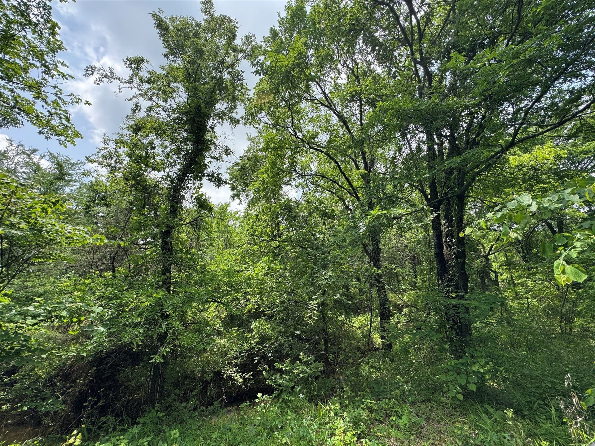 4.99 acres in Cooke County - photo 7