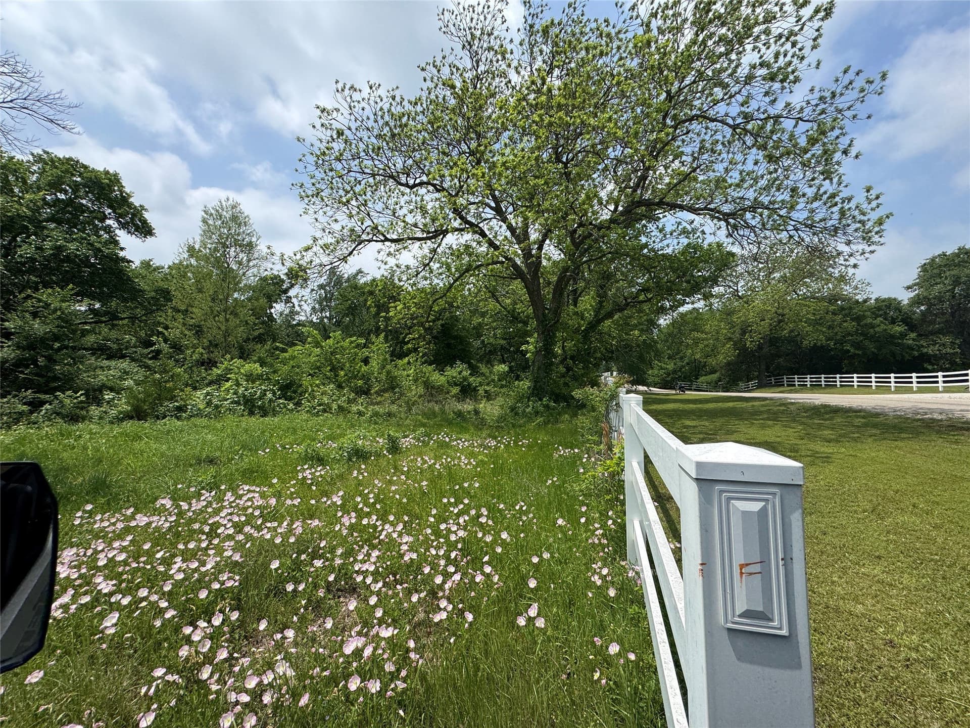 4.99 acres in Cooke County - photo 12