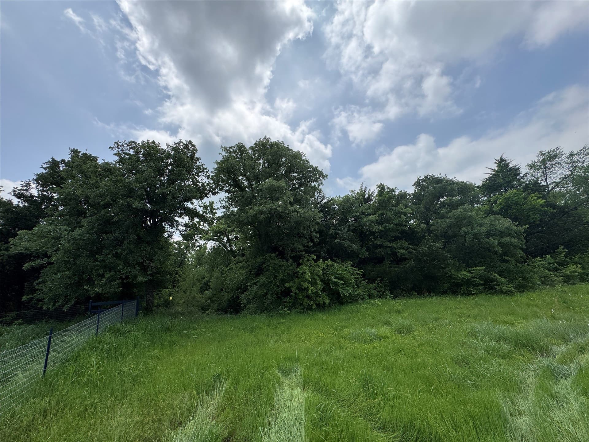 4.99 acres in Cooke County - photo 14