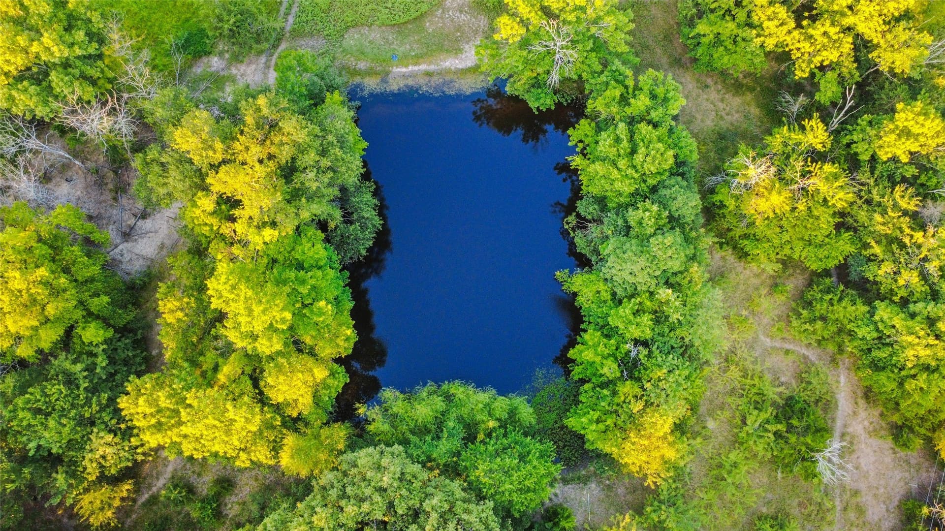 20.17 acres in Hopkins County gallery image 4