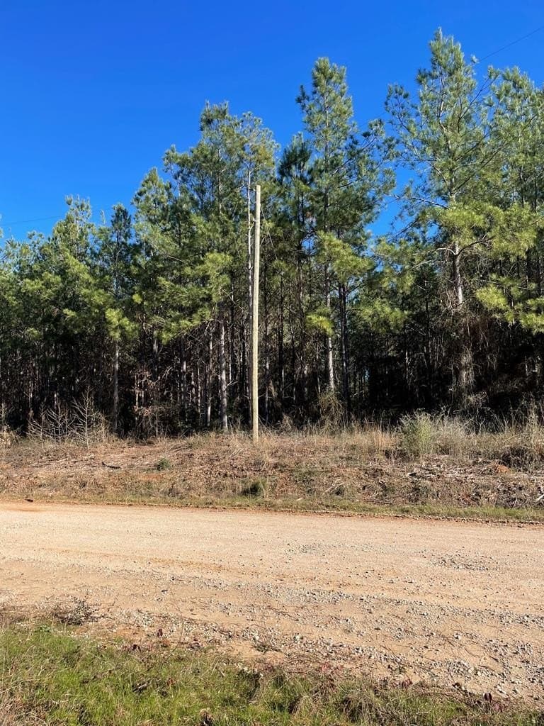 12 acres in Texas County - photo 2