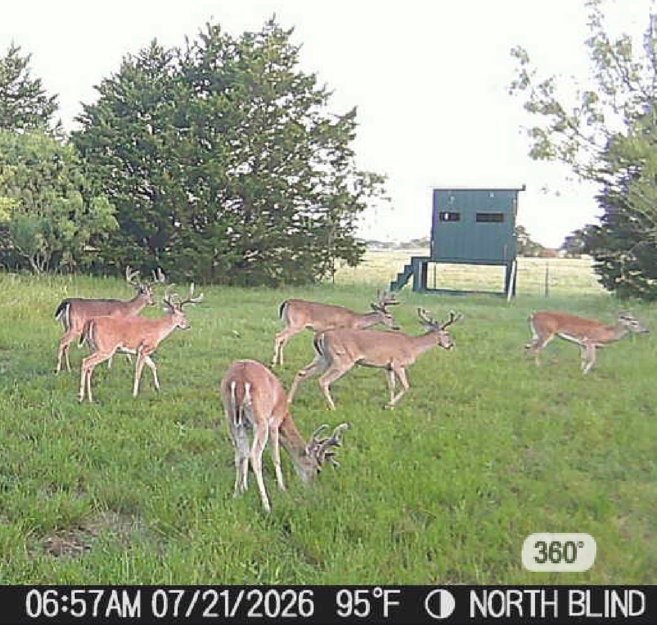107.94 acres in Navarro County - photo 40