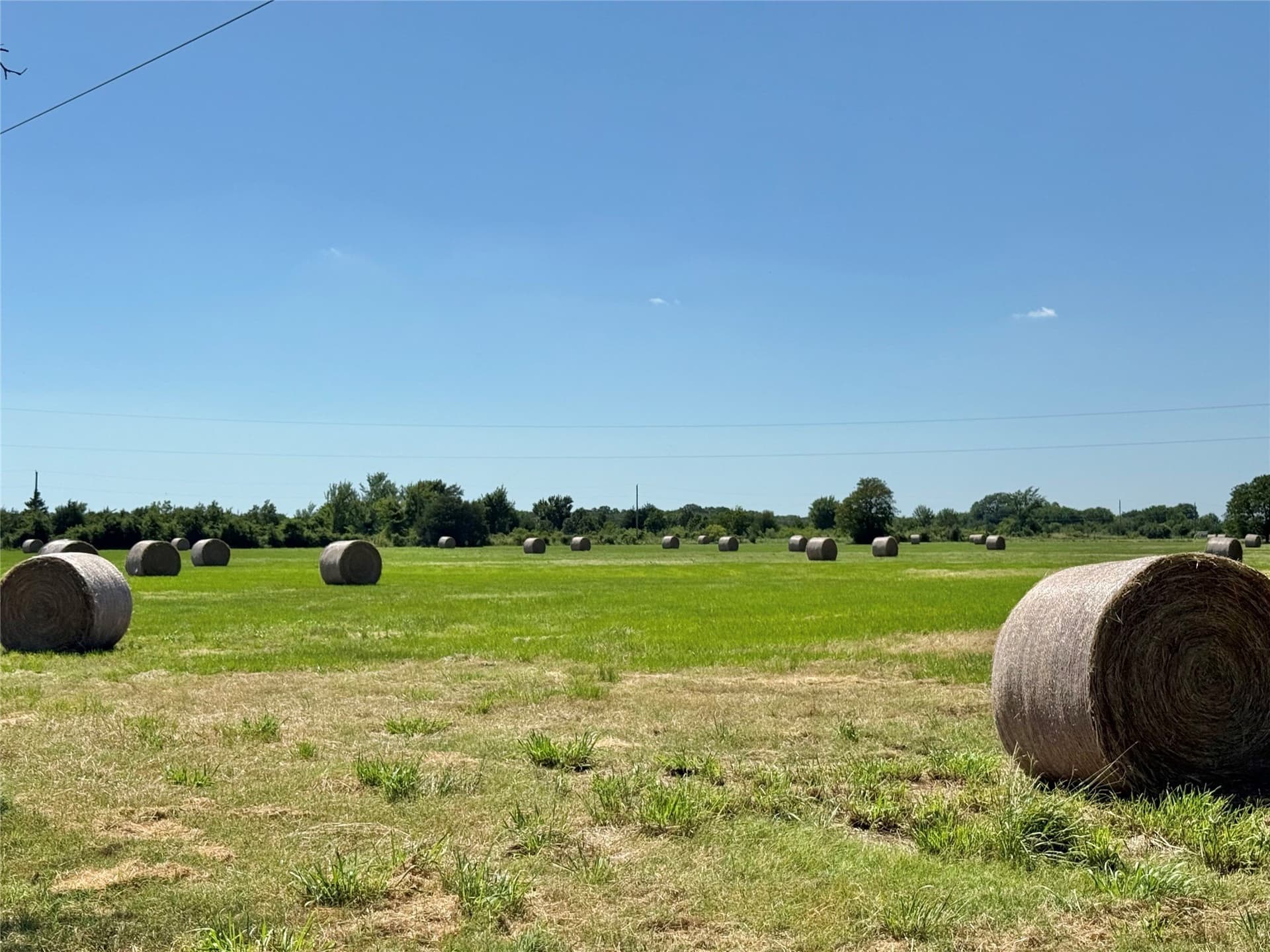 107.94 acres in Navarro County - photo 33