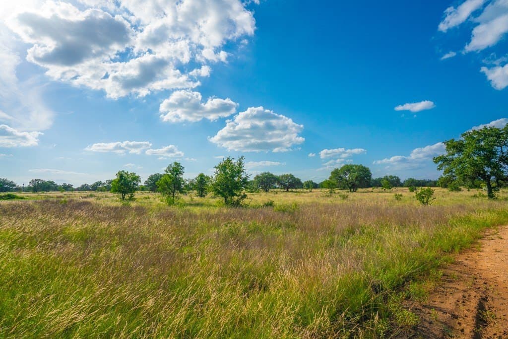 6.02 acres in Blanco County gallery image 2