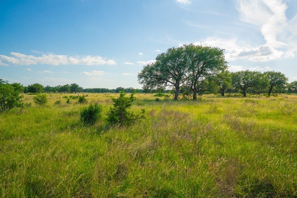 6.02 acres in Blanco County gallery image 4