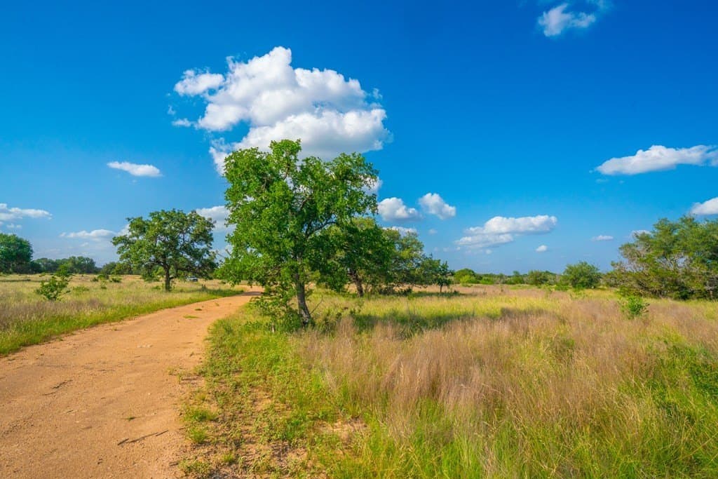 6.02 acres in Blanco County gallery image 3