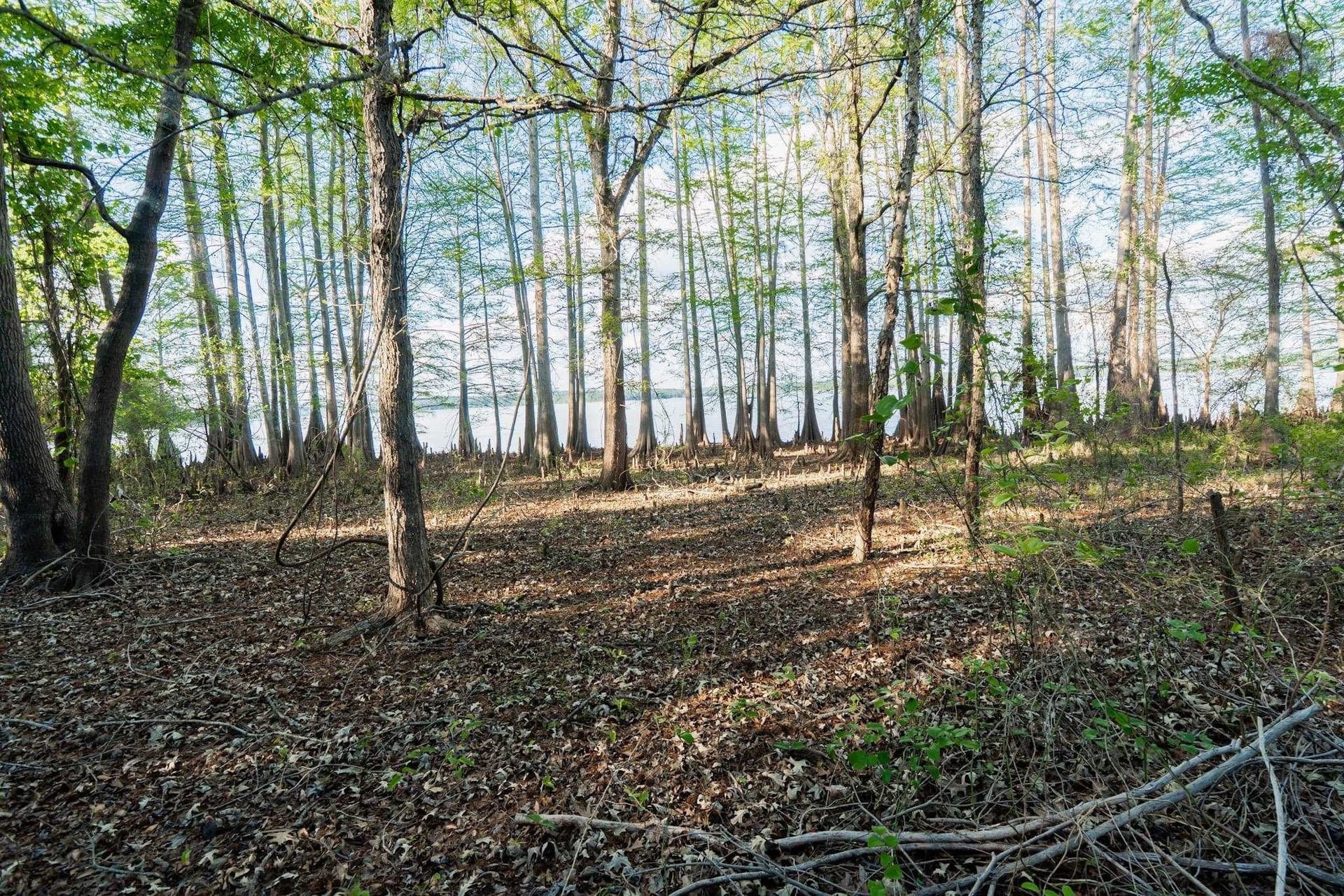 19.66 acres in Marion County featured view