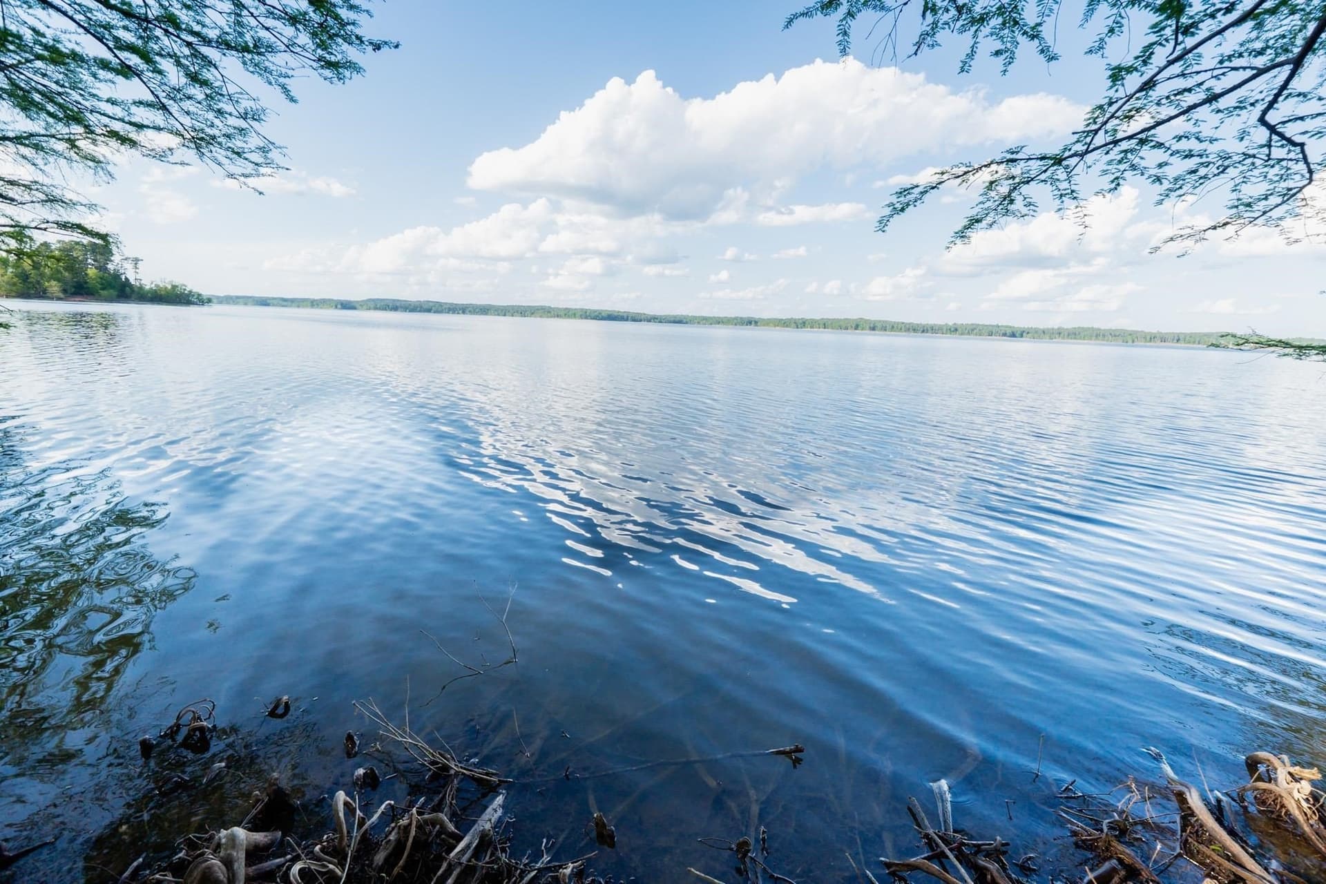 19.66 acres in Marion County gallery image 2