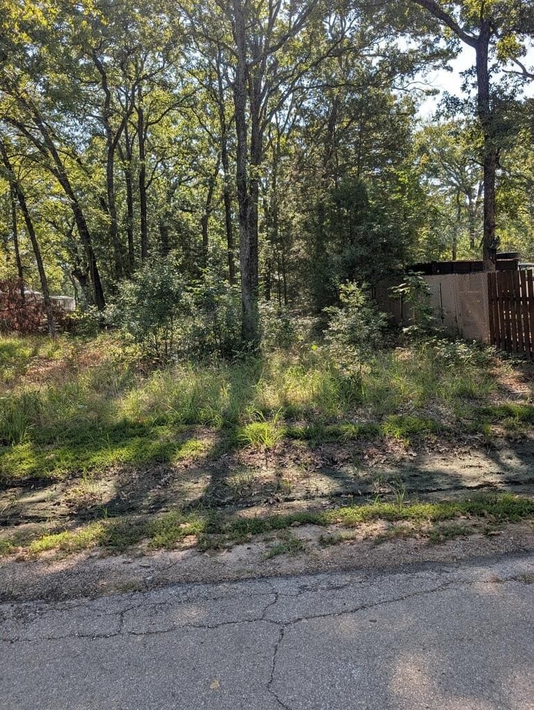 0.11 acres in Henderson County - photo 3