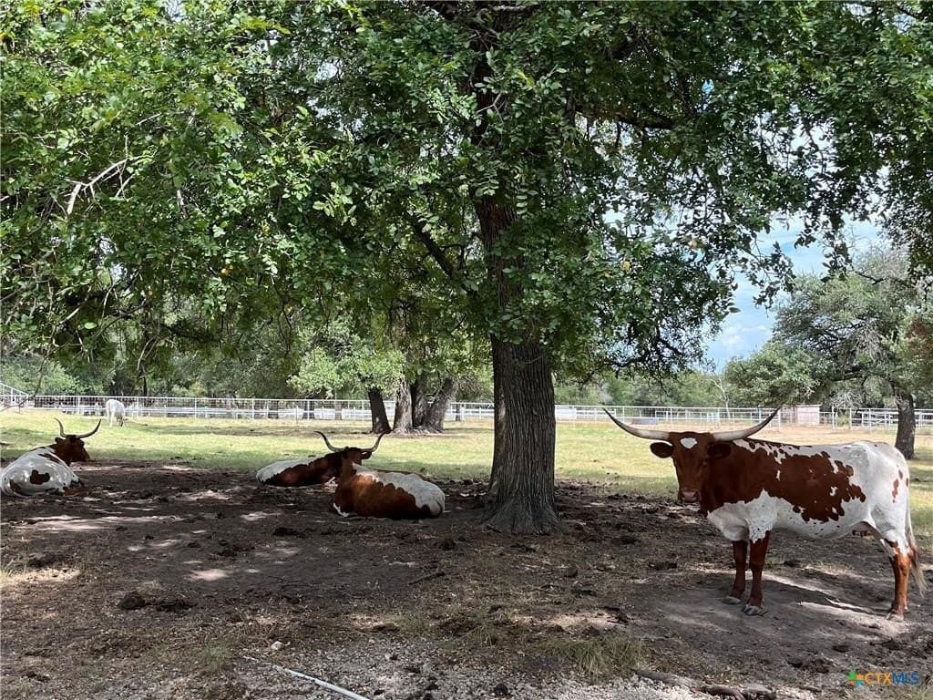 113.38 acres in Lampasas County - photo 13