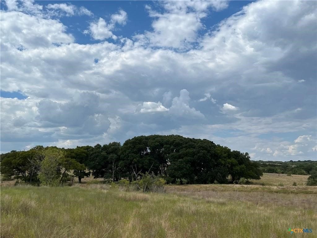 113.38 acres in Lampasas County - photo 5